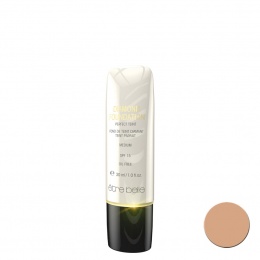 429_02_Diamond_Foundation_Perfect_Teint_Make-up_SPF_15