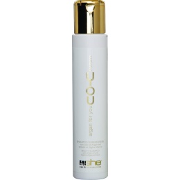 9.ARG SHAMP2 - Argan šampon 250 ml