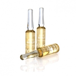 Ampoules SK10 - 4071